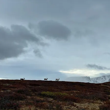 Leilighet Hyggelig Og Velutstyrt I Sentrum Lom