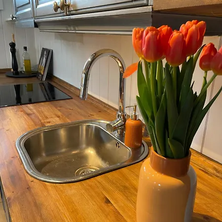 Hyggelig Og Velutstyrt I Sentrum