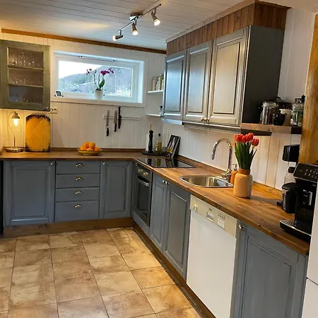 Hyggelig Og Velutstyrt I Sentrum Лом