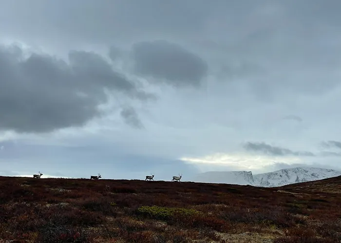 Lägenhet Hyggelig Og Velutstyrt I Sentrum Lom